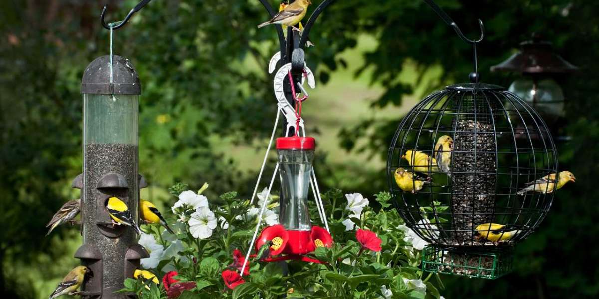 Top 10 Bird Feeders for 2024: Reviews and Buyer’s Guide