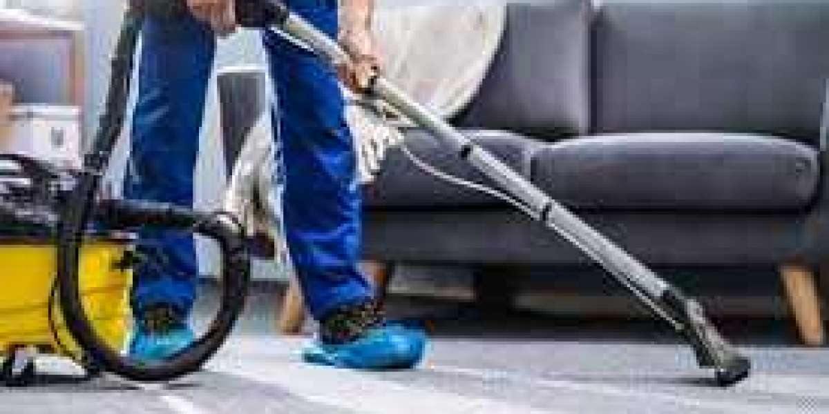 5 Common Carpet Cleaning Mistakes and How to Avoid Them