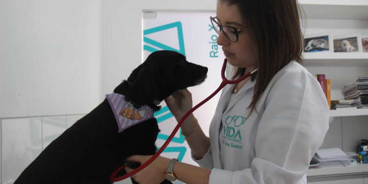 Ehrlichia canis: Como o exame DOT BLOT ELISA Pode Salvar a Saúde do Seu Pet