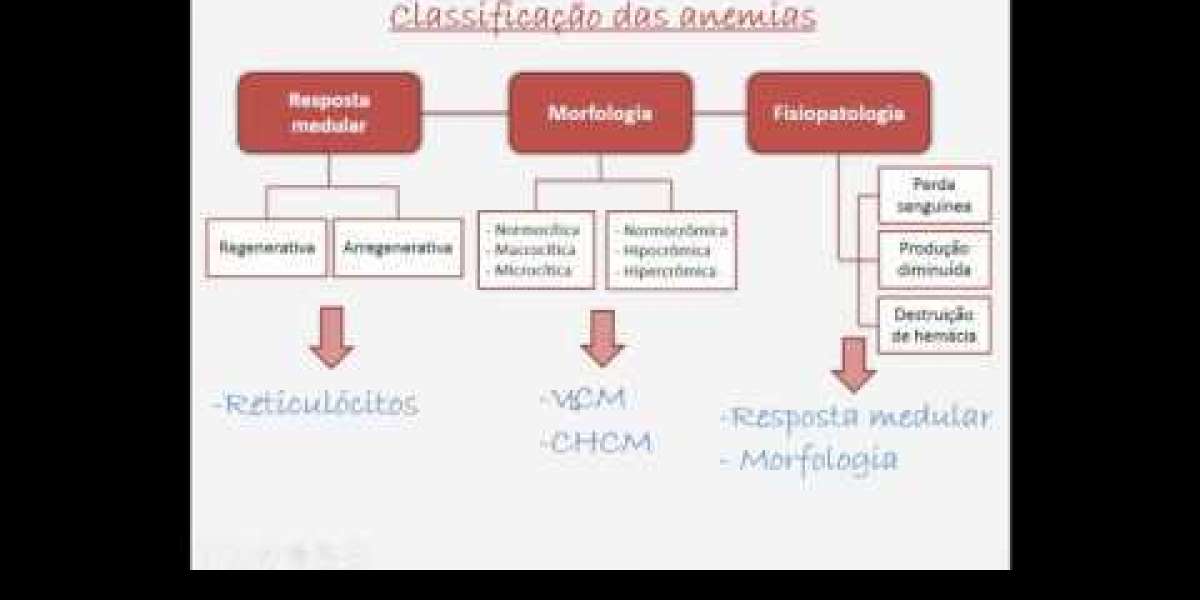 Diagnóstico Eficiente da Ehrlichia Canis em Cães: Testes que Fazem a Diferença