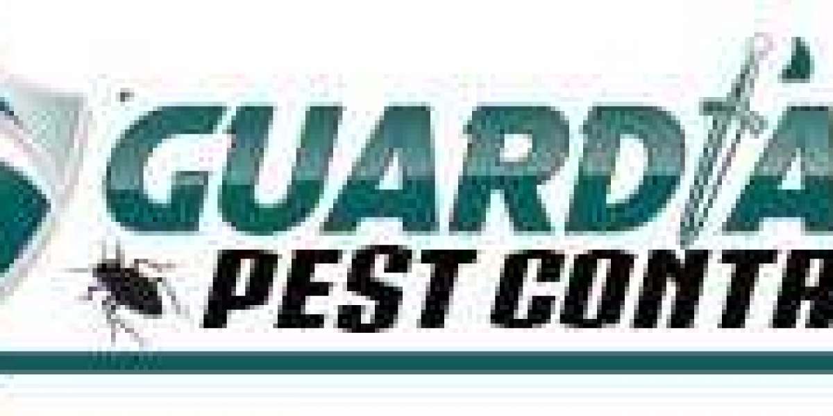 Comprehensive Termite Control Services: Safeguard Your Property