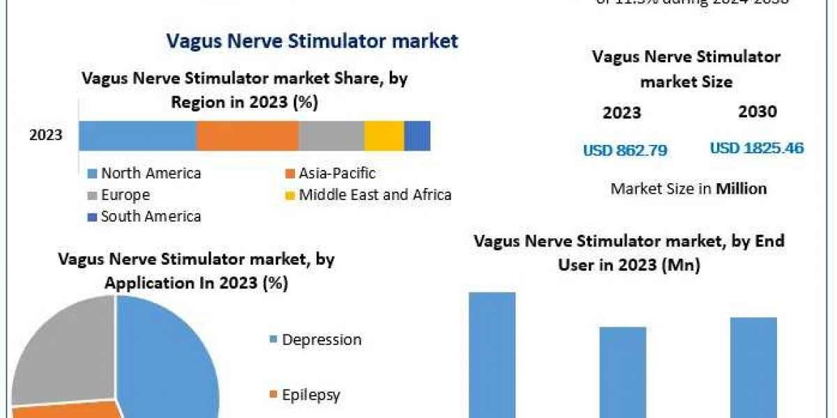 Vagus Nerve Stimulator Market Outlook: Opportunities in Neuromodulation Devices